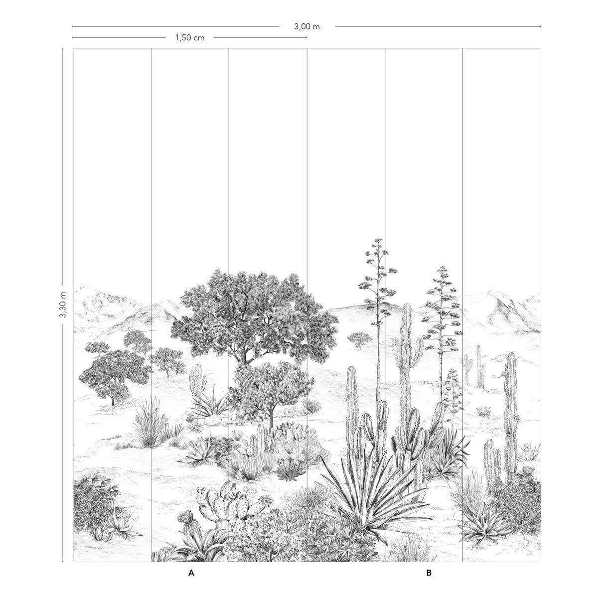 Isidore Leroy | Succulents Isidore Leroy | Succulents