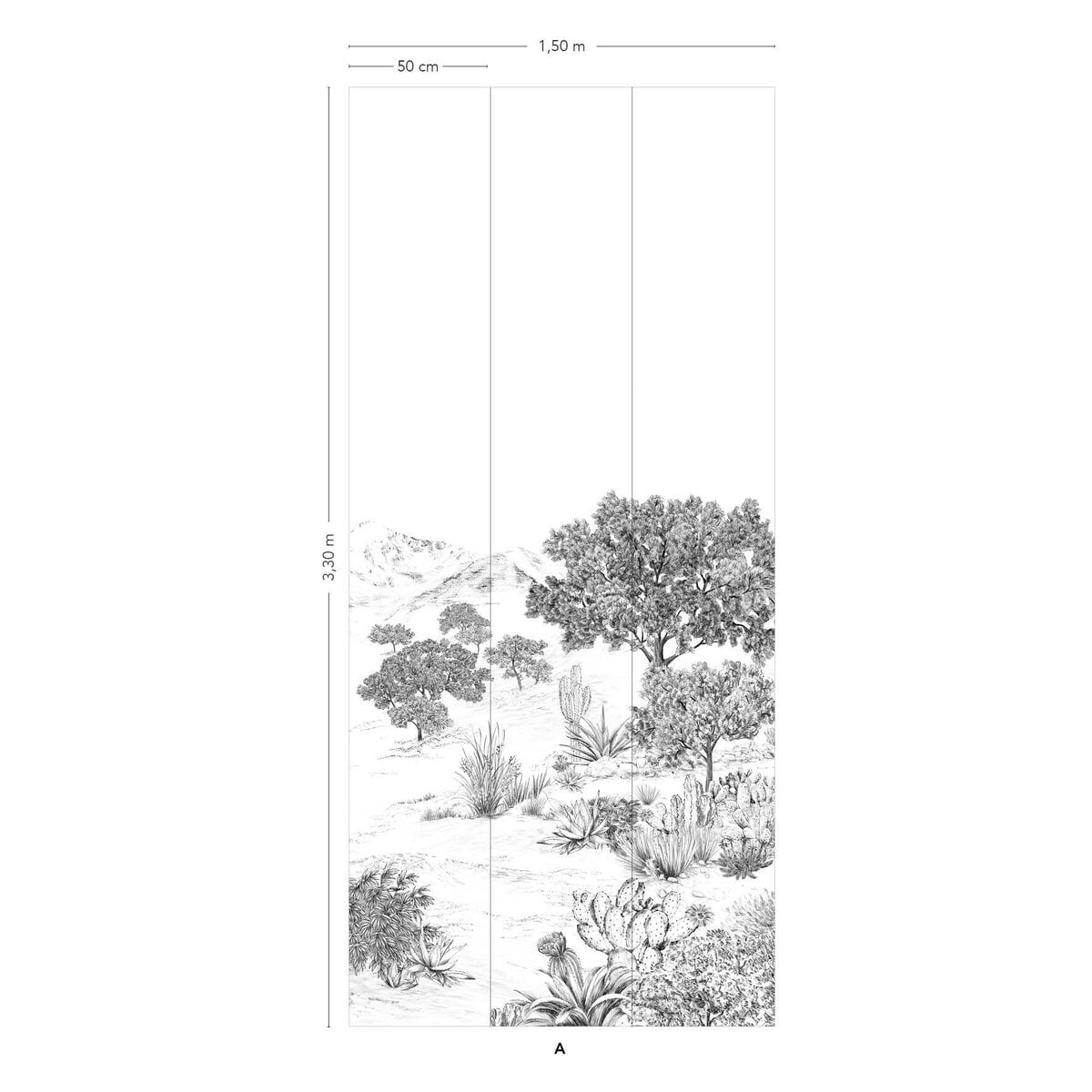 Isidore Leroy | Succulents Isidore Leroy | Succulents