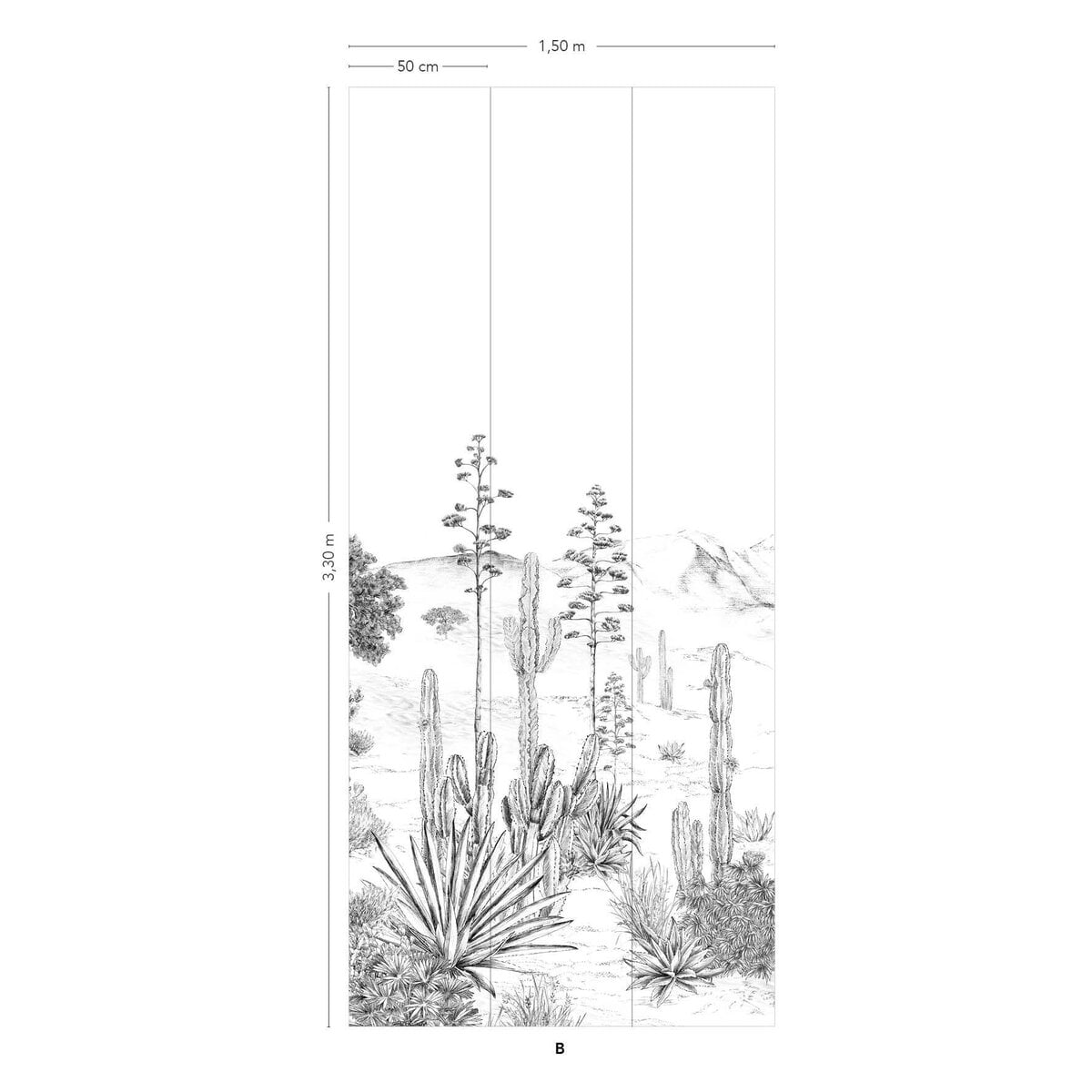 Isidore Leroy | Succulents Isidore Leroy | Succulents