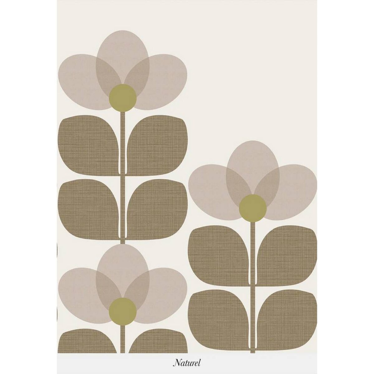 Isidore Leroy | Flower Isidore Leroy | Flower