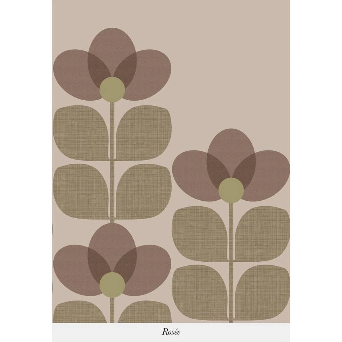 Isidore Leroy | Flower Isidore Leroy | Flower