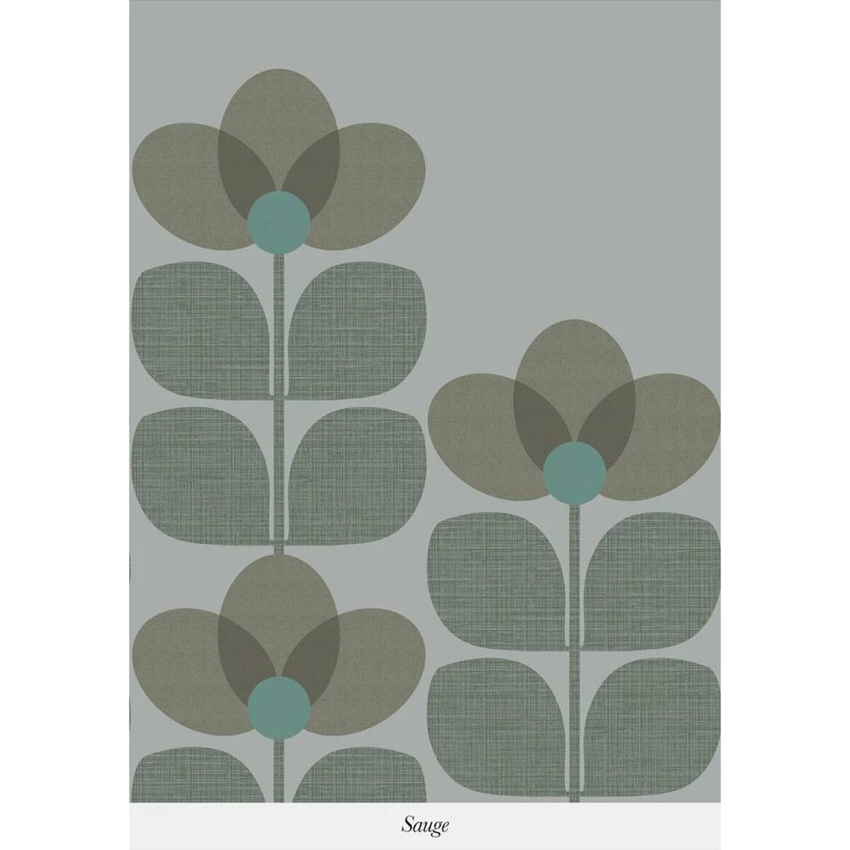 Isidore Leroy | Flower Isidore Leroy | Flower