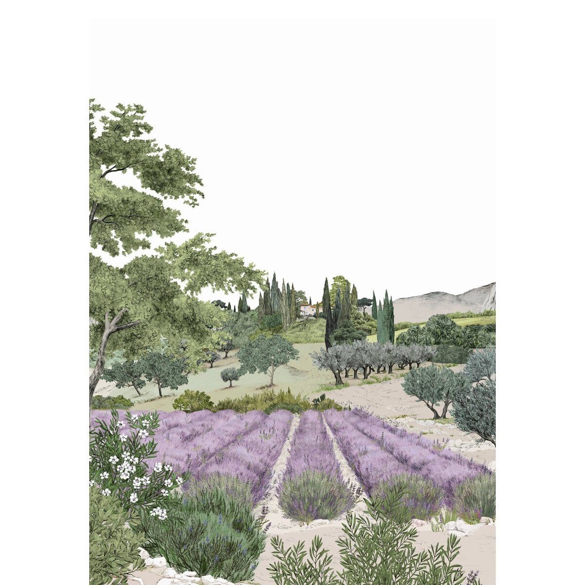 Isidore Leroy | Provence Color Bespoke Isidore Leroy | Provence Color Bespoke