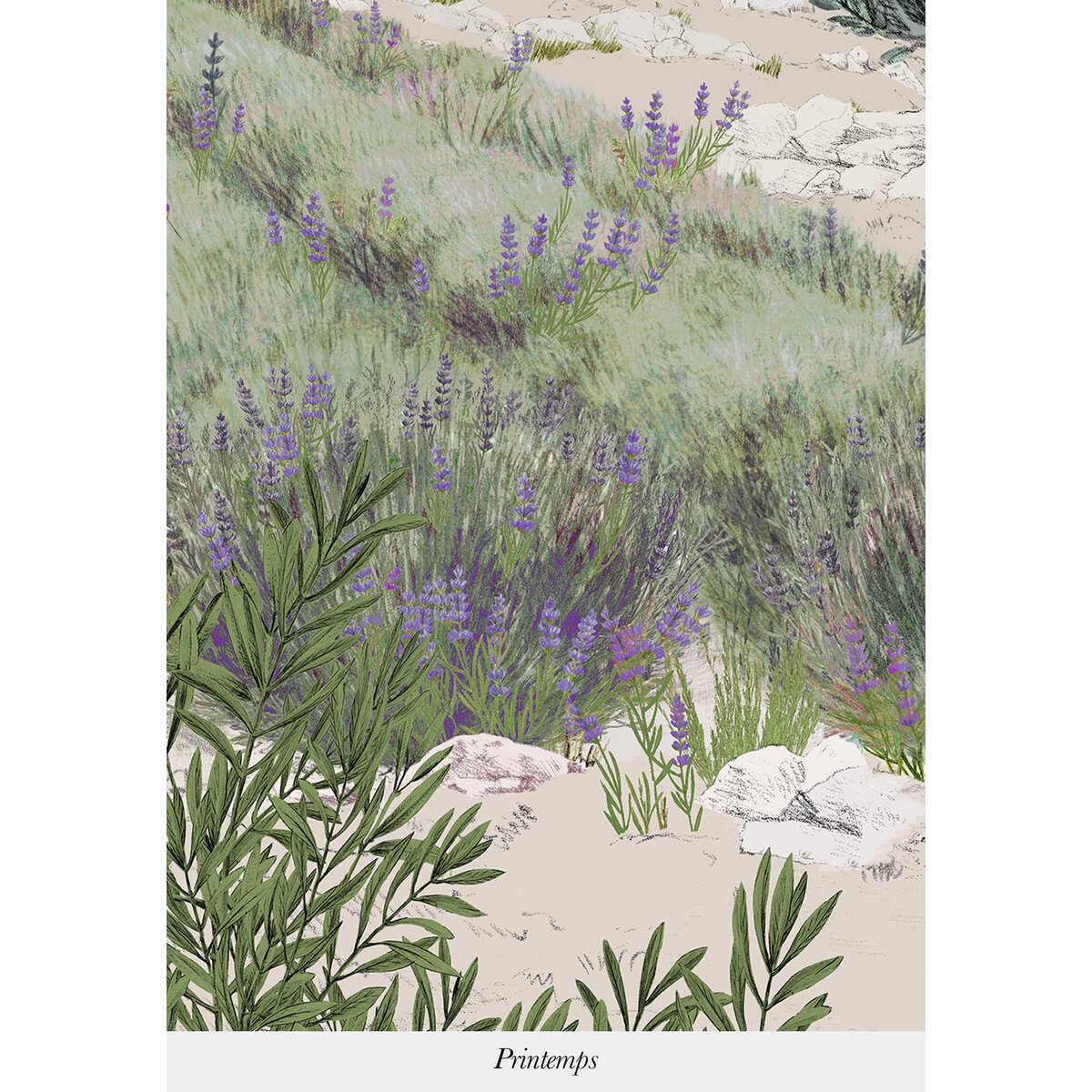 Isidore Leroy | Provence Color Bespoke Isidore Leroy | Provence Color Bespoke