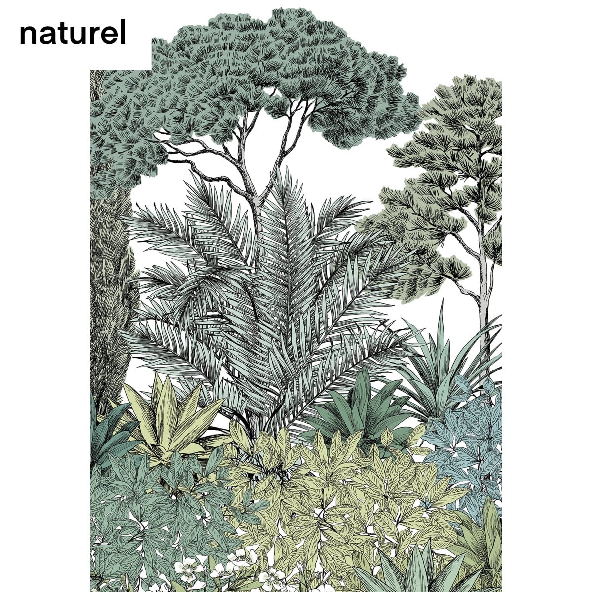 Isidore Leroy | Riviera Isidore Leroy | Riviera