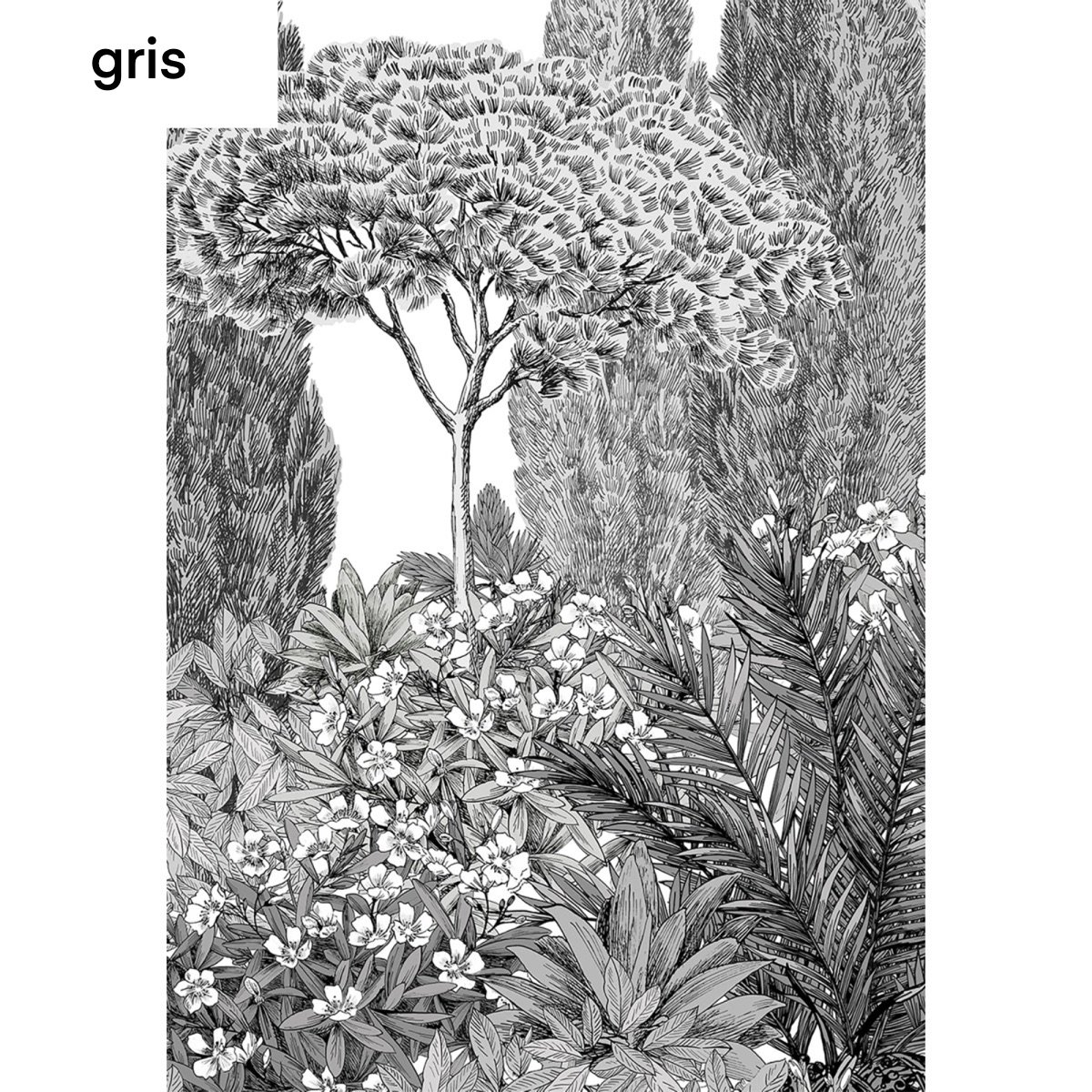 Isidore Leroy | Riviera Isidore Leroy | Riviera