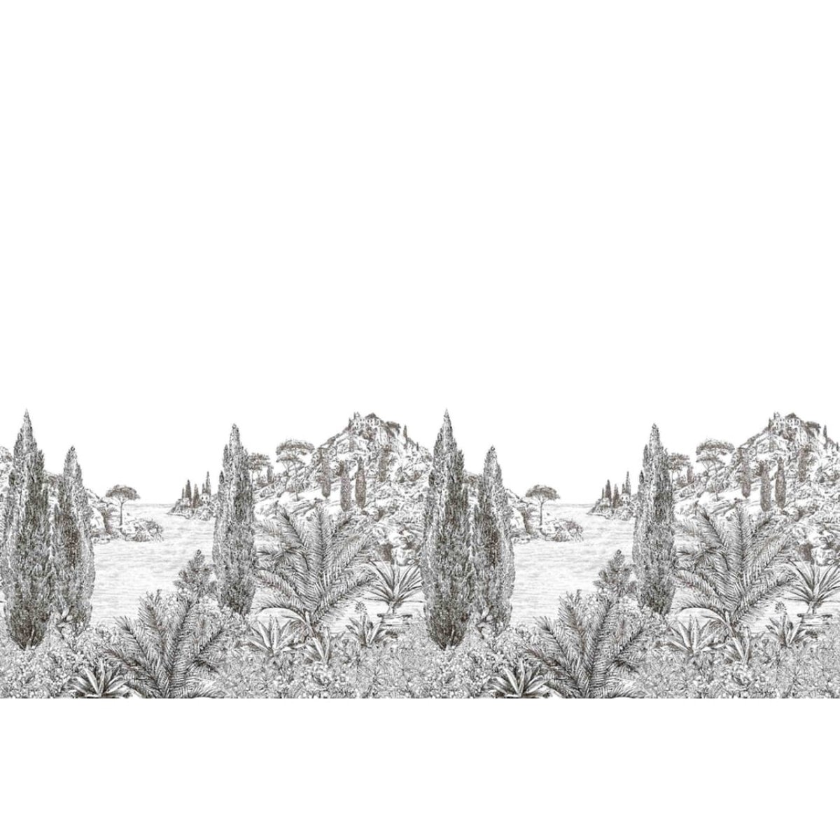 Isidore Leroy | Cypress Isidore Leroy | Cypress