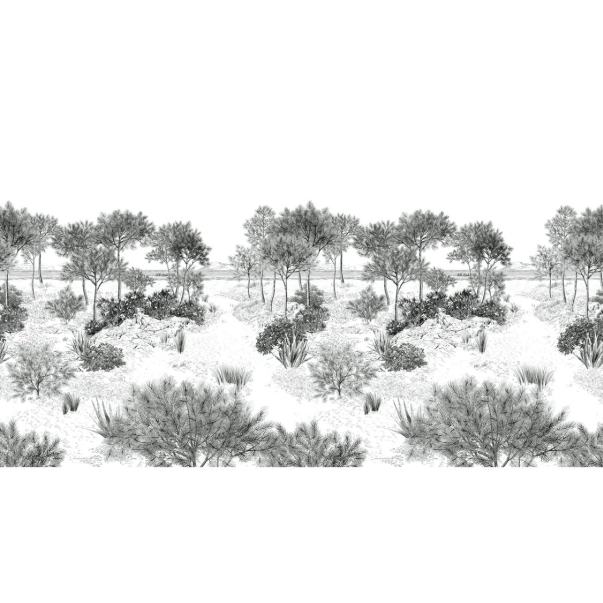 Isidore Leroy | Dune Isidore Leroy | Dune