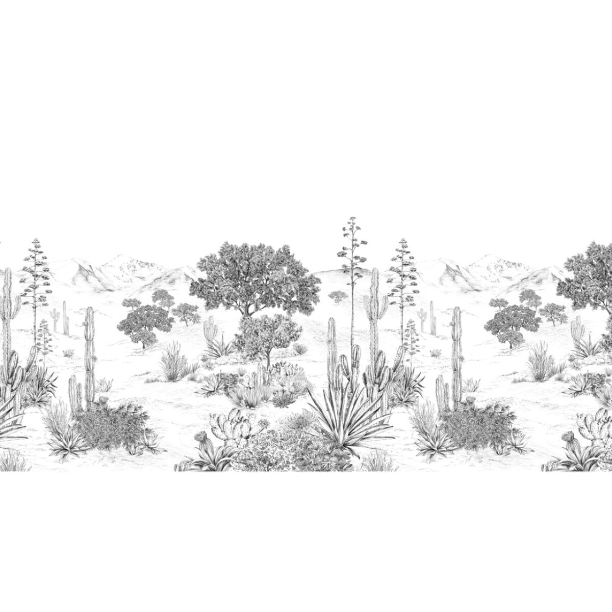 Isidore Leroy | Succulents Isidore Leroy | Succulents