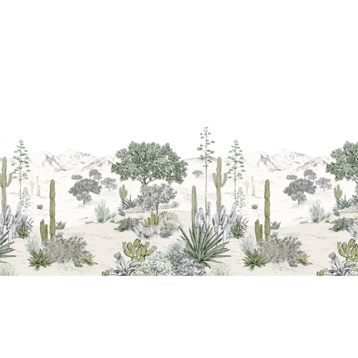 Isidore Leroy | Succulents Isidore Leroy | Succulents