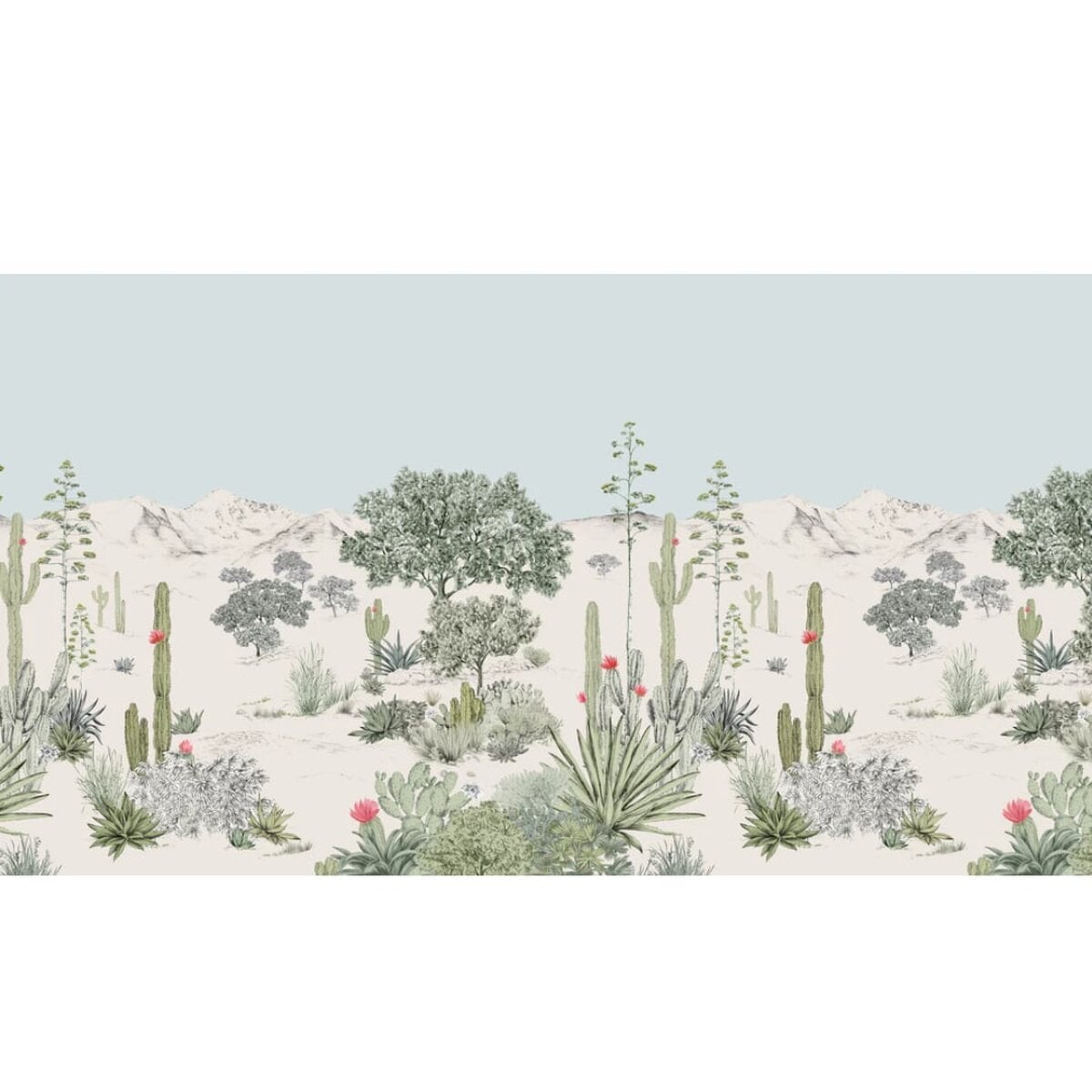 Isidore Leroy | Succulents Isidore Leroy | Succulents