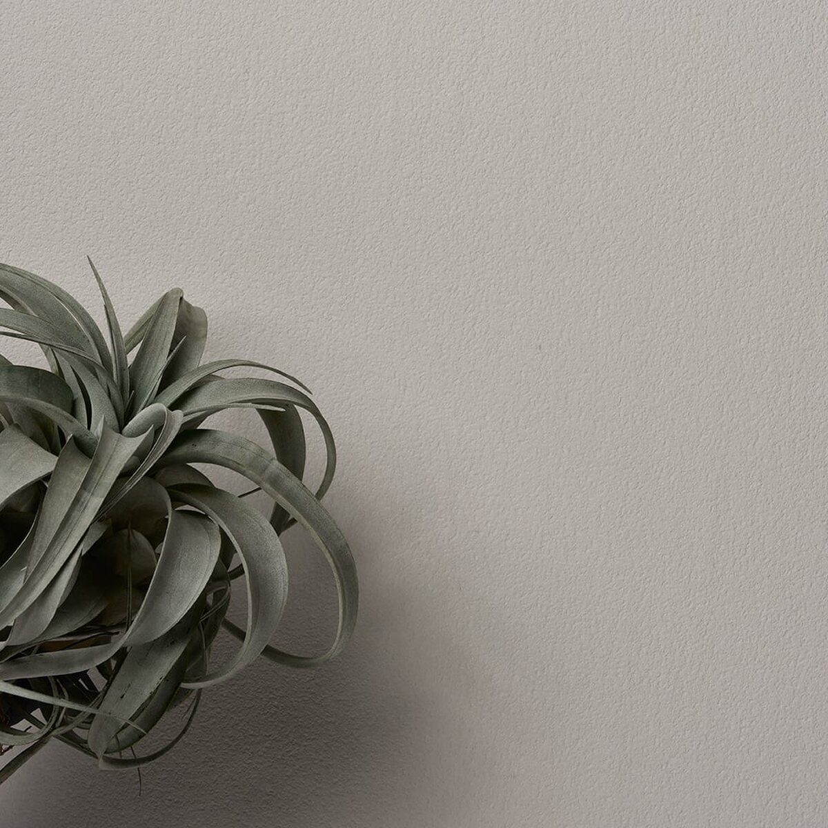 Namuh & Care | Cypress II Namuh & Care | Cypress II