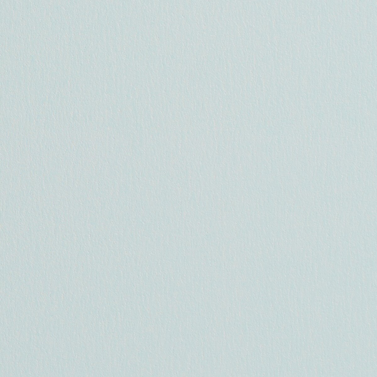 Namuh & Care | Pine Tree I Namuh & Care | Pine Tree I