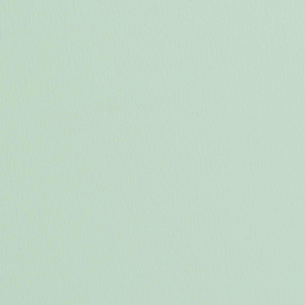 Namuh & Care | Pine Tree I Namuh & Care | Pine Tree I