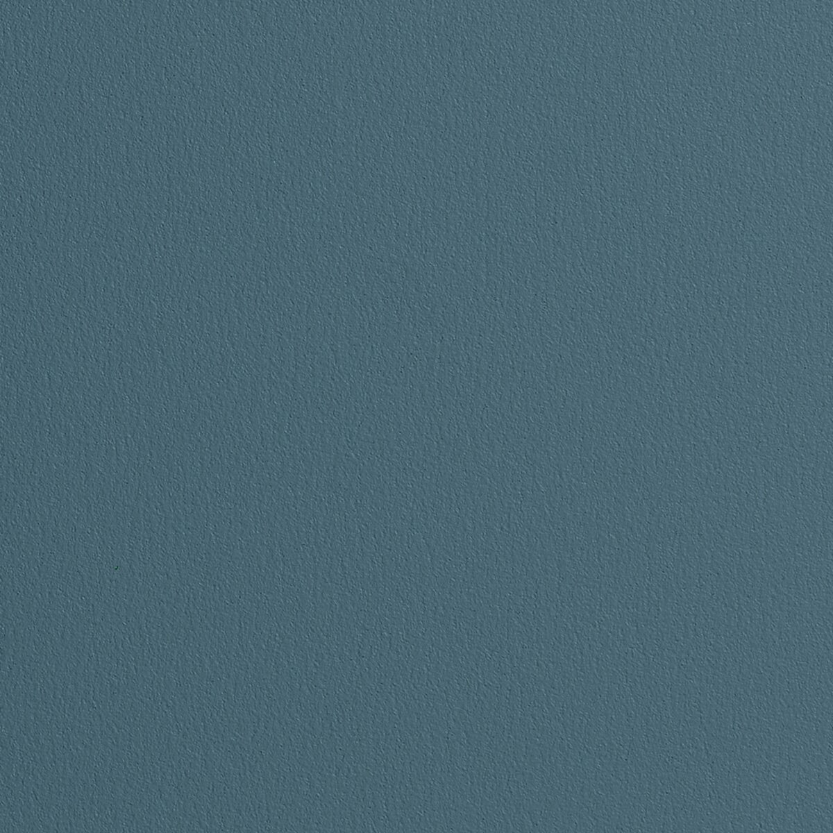 Namuh & Care | Pine Tree I Namuh & Care | Pine Tree I