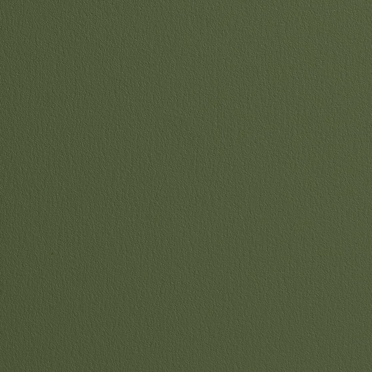 Namuh & Care | Pine Tree I Namuh & Care | Pine Tree I