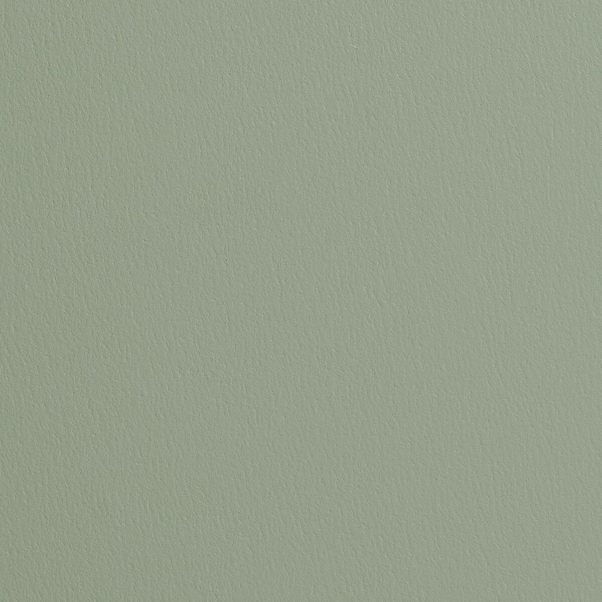 Namuh & Care | Pine Tree I Namuh & Care | Pine Tree I