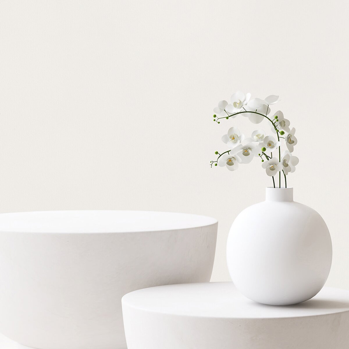 Namuh & Care | Pine Tree I Namuh & Care | Pine Tree I