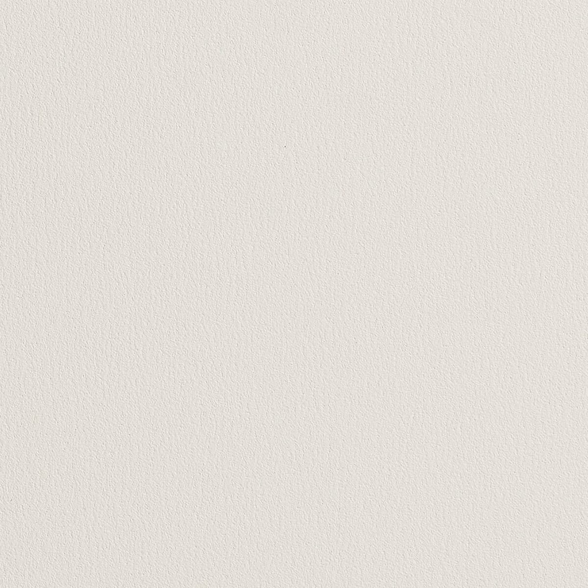 Namuh & Care | Pine Tree I Namuh & Care | Pine Tree I