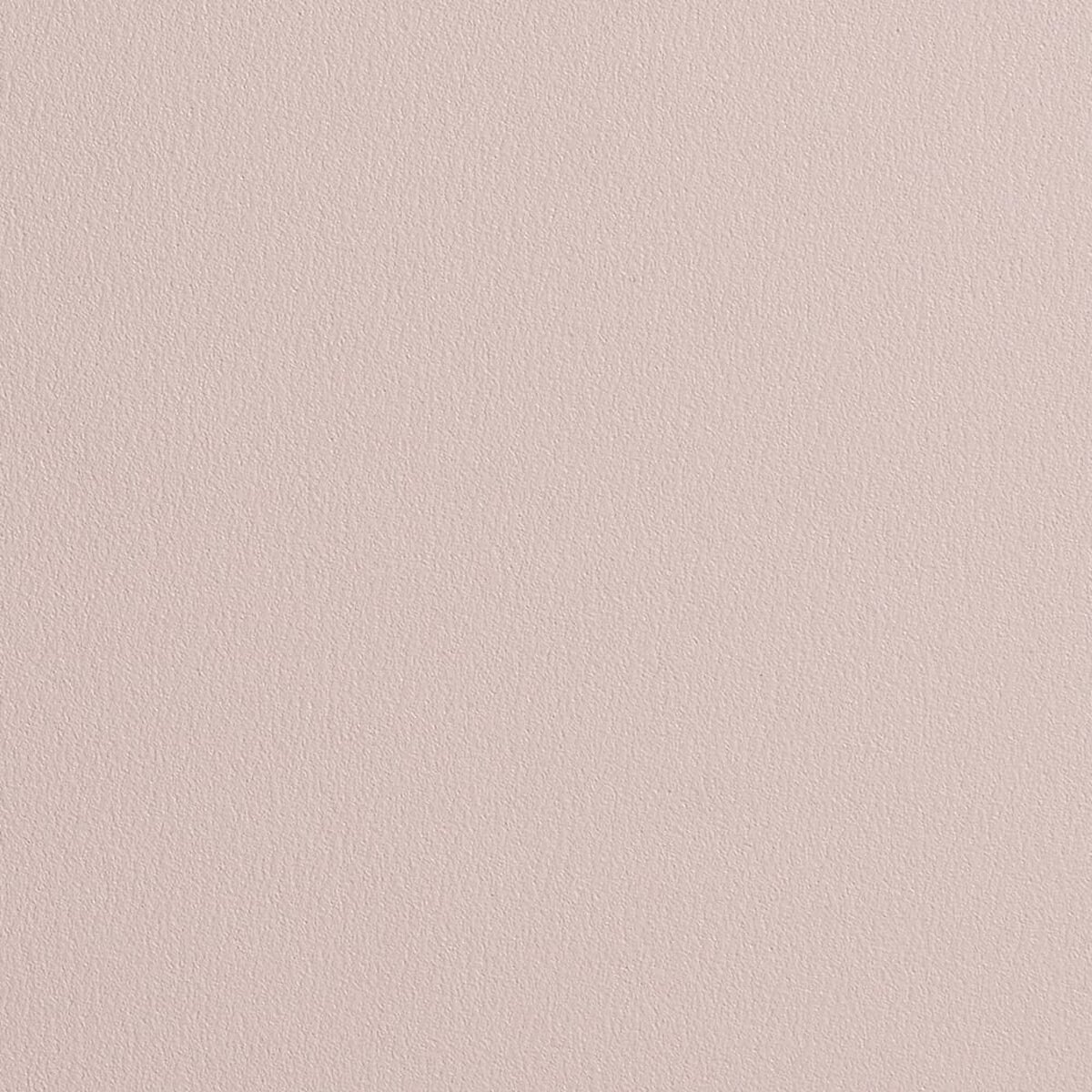 Namuh & Care | Pine Tree I Namuh & Care | Pine Tree I