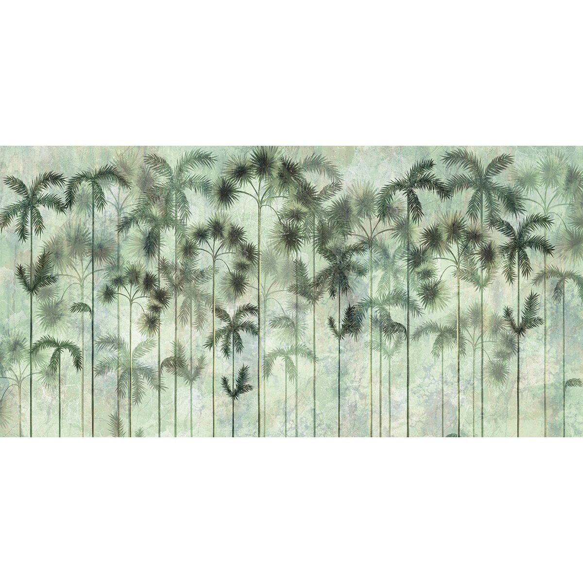 Pixa Lab | Palm Groves Pixa Lab | Palm Groves