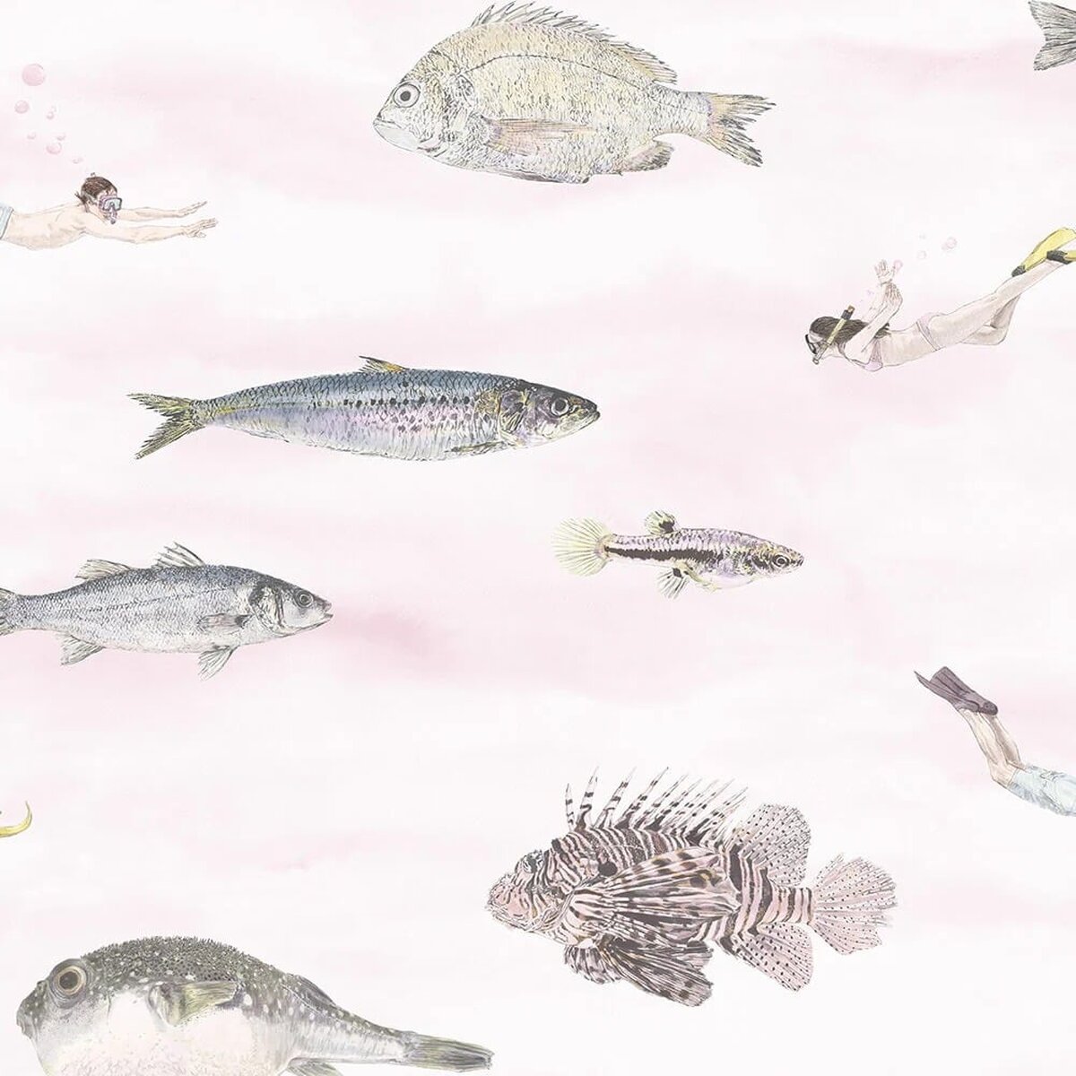 Fish Pink | Sian Zeng Fish Pink | Sian Zeng