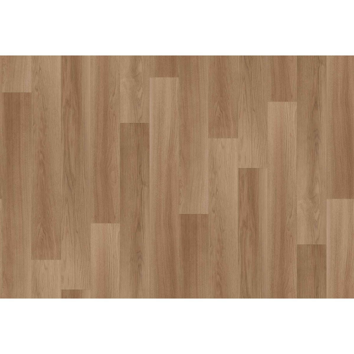 Toli | CareSafe NW | Design I Toli | CareSafe NW | Design I
