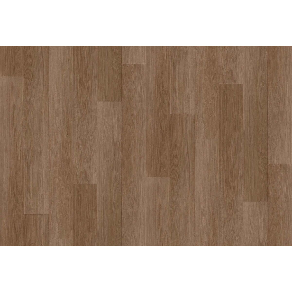 Toli | CareSafe NW | Design I Toli | CareSafe NW | Design I