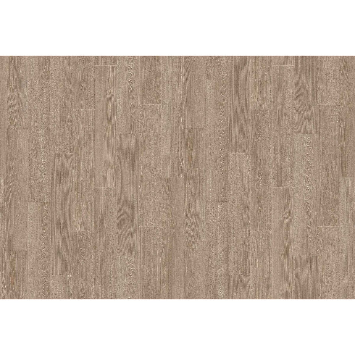 Toli | CareSafe NW | Design I Toli | CareSafe NW | Design I