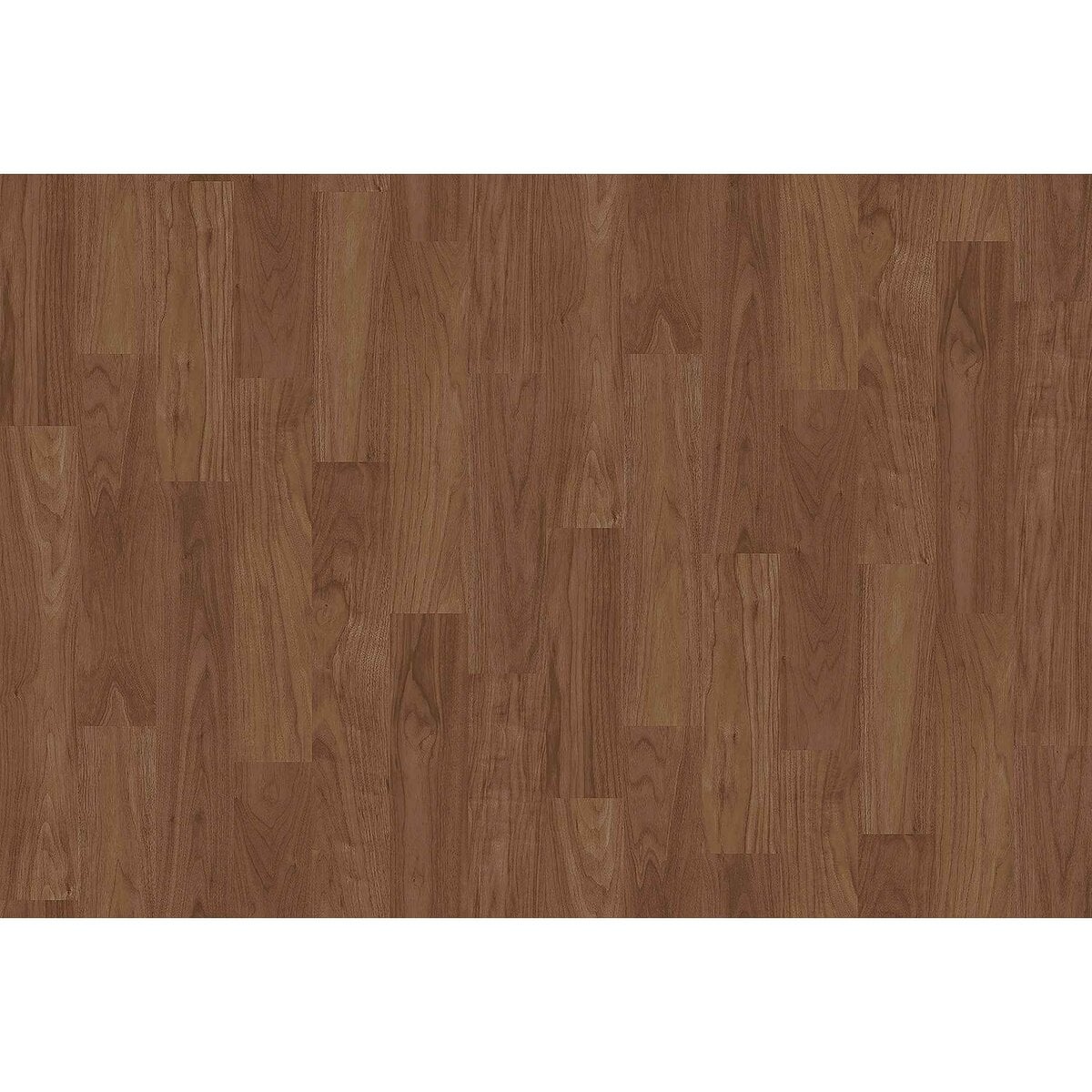 Toli | CareSafe NW | Design I Toli | CareSafe NW | Design I