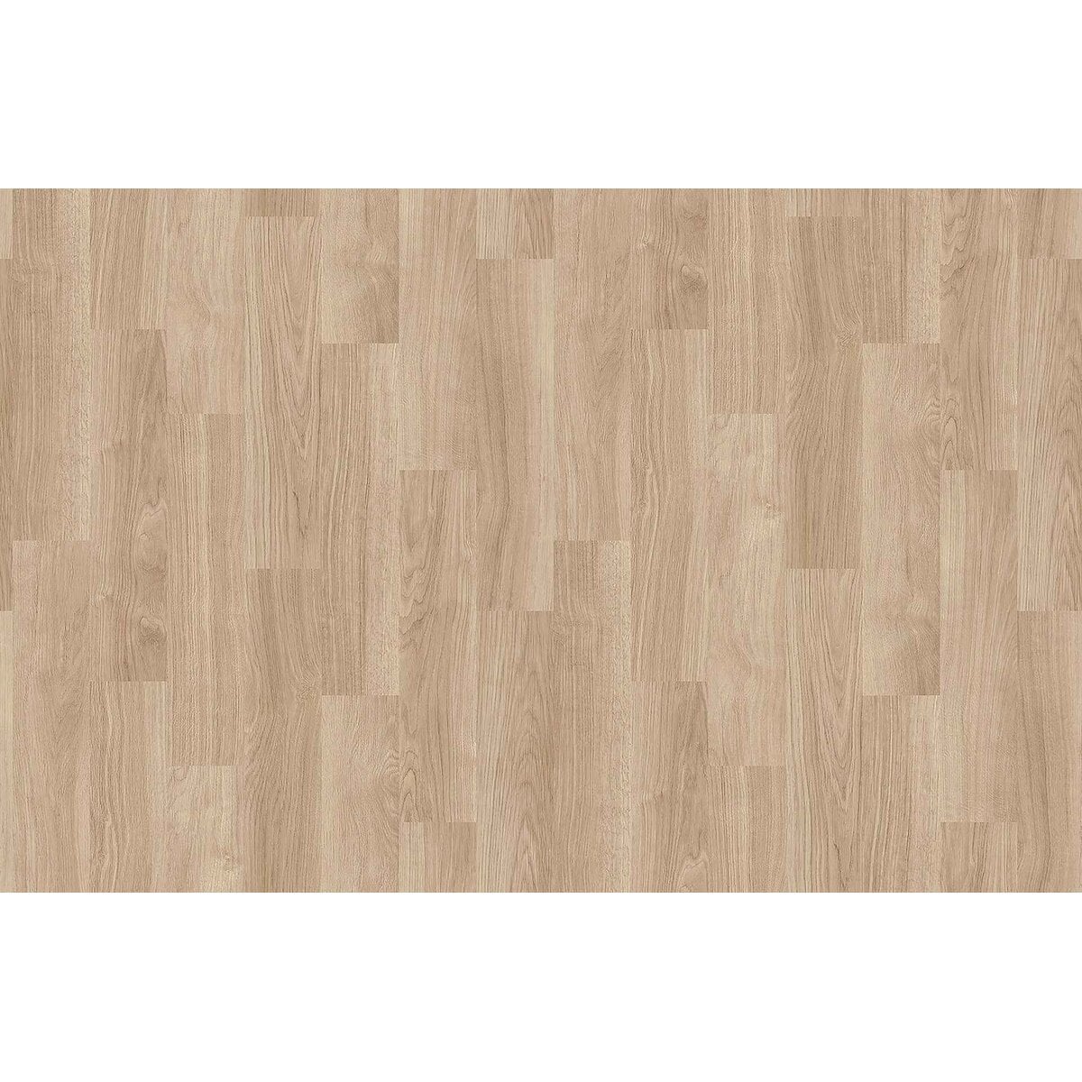 Toli | CareSafe NW | Design IV Toli | CareSafe NW | Design IV