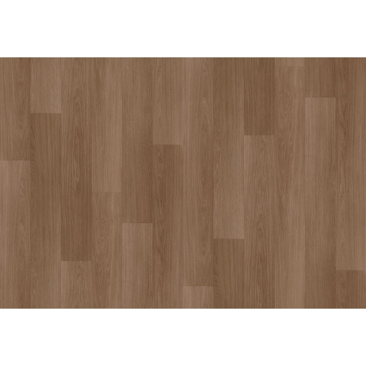 Toli | Hospilium NW | Design I Toli | Hospilium NW | Design I