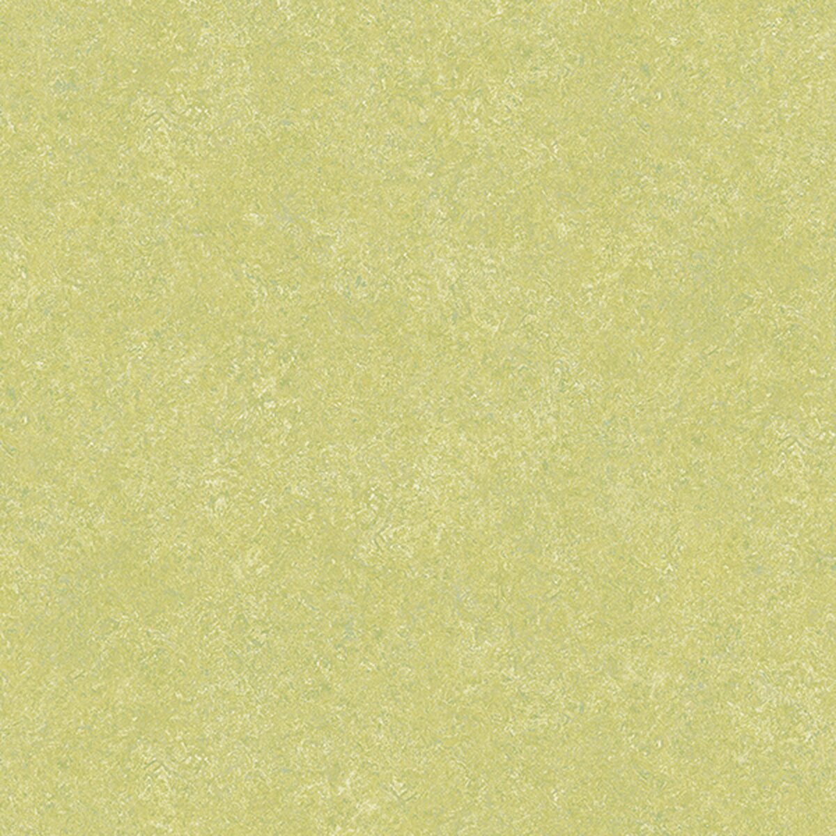Toli | SF Floor NW | Design VI Toli | SF Floor NW | Design VI